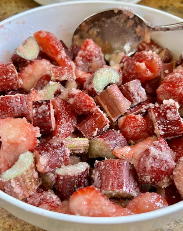 raw strawberries and rhubarb with sugar