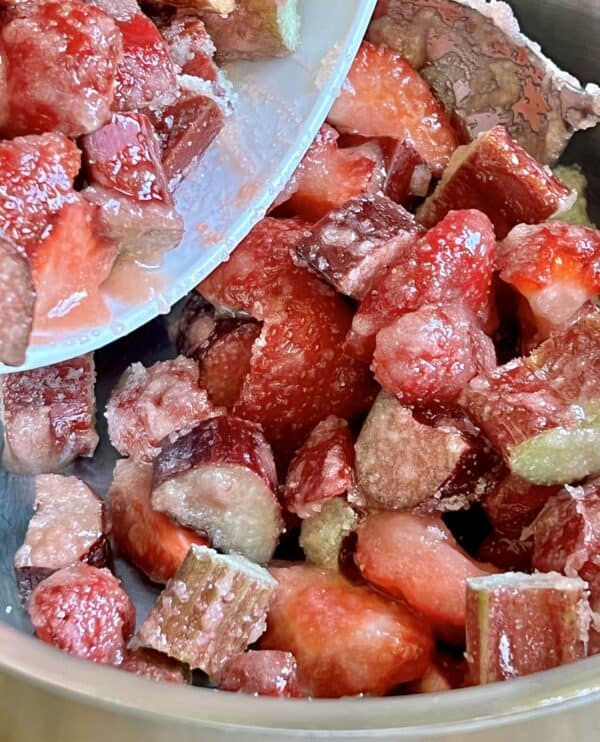 putting strawberries and rhubarb in a pot