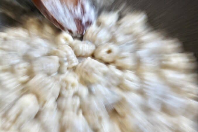 shot of gorgonzola gnocchi in pan