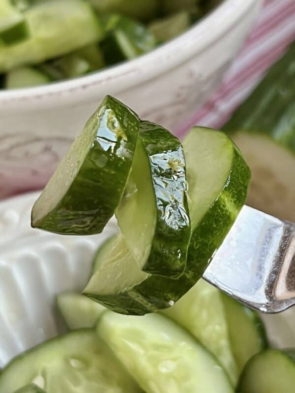 cucumber salad on a fork