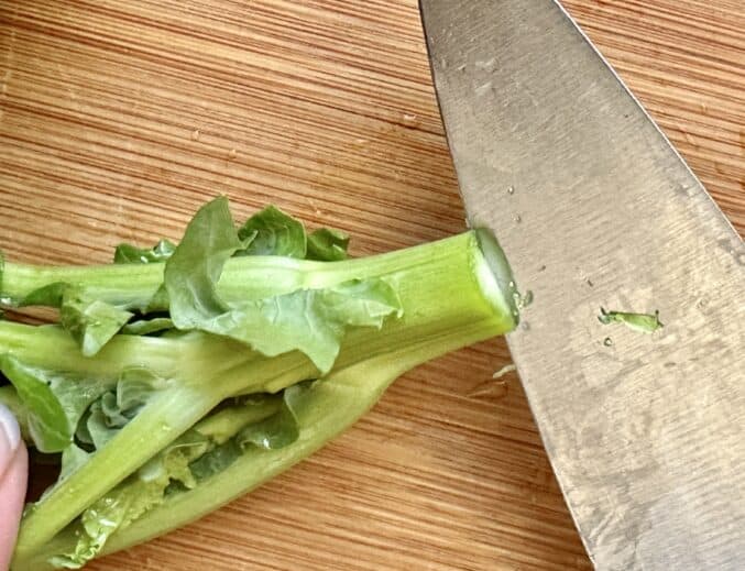 slicing the stem