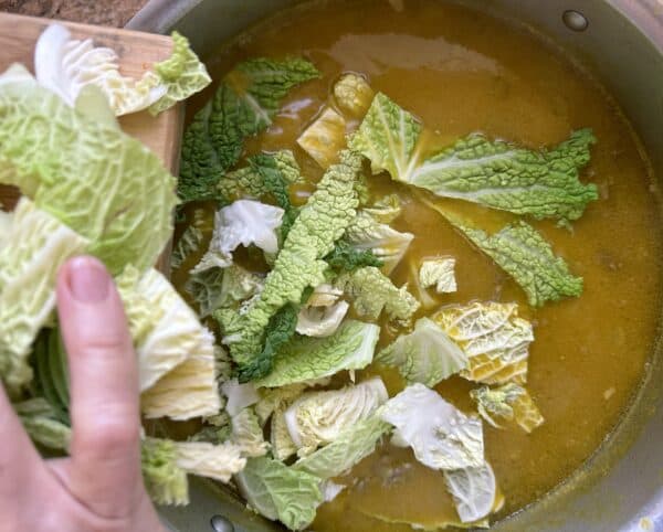 adding cabbage to soup