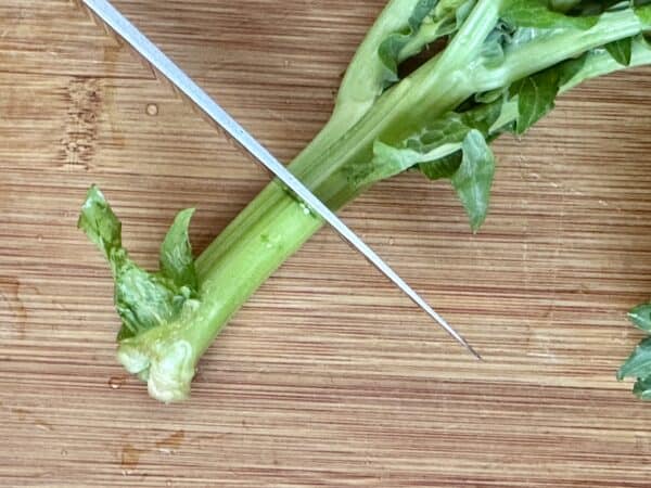 cutting off stems on rapini