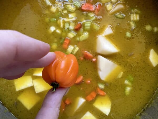 adding Scotch bonnet pepper to soup