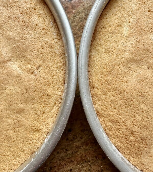 sponge cakes in pans