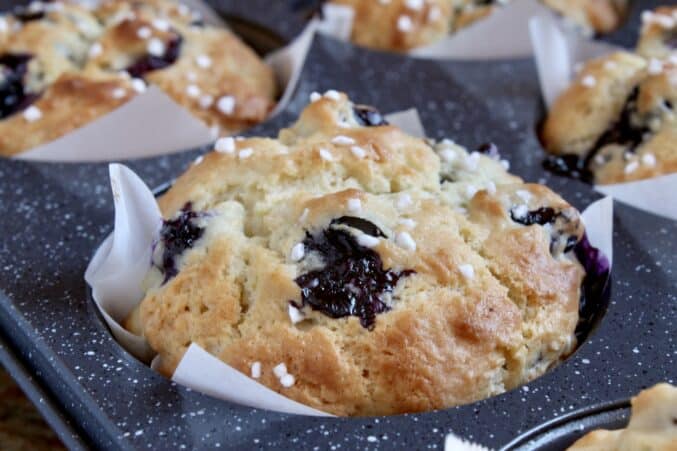 blueberry muffins in a tray made using the perfect blueberry muffin recipe