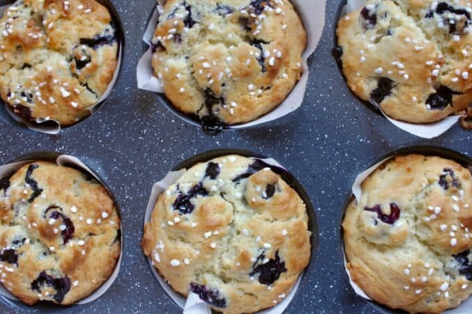 overhead shot of blueberry muffins in tray