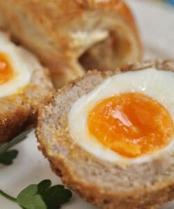 Scotch egg and sausage roll