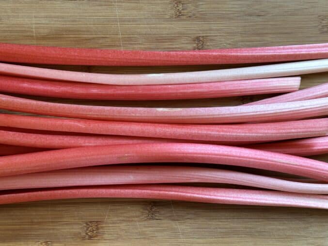 stalks of rhubarb