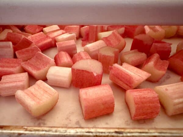 rhubarb pieces on a tray in the freezer