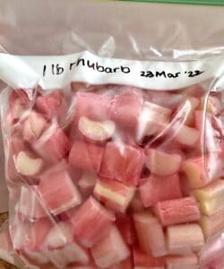 bagged rhubarb