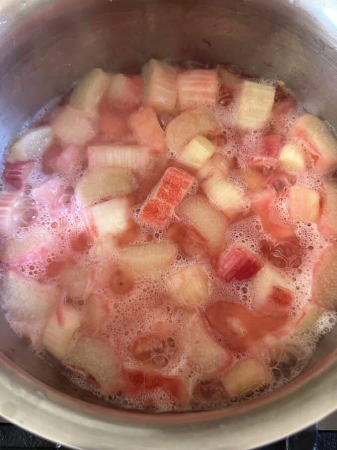 cooking rhubarb sauce