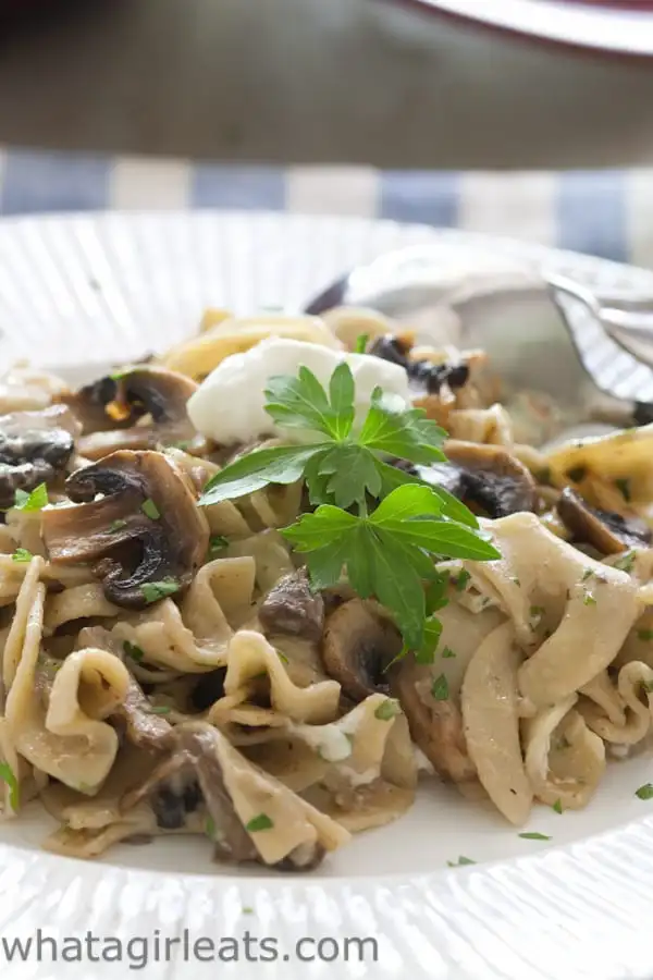 mushroom stroganoff for healthy meals on a budget post