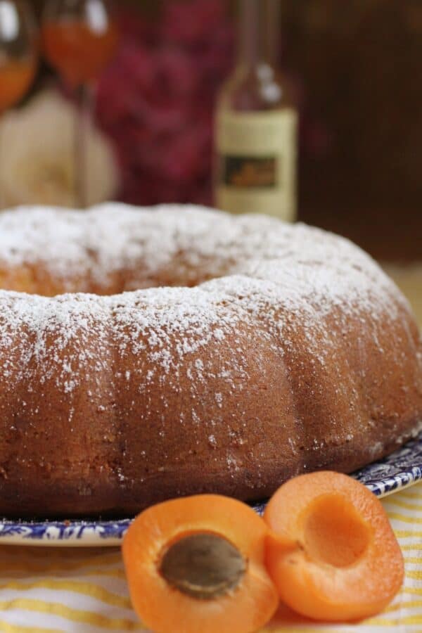 apricot cake with powdered sugar