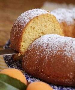 slice of apricot cake
