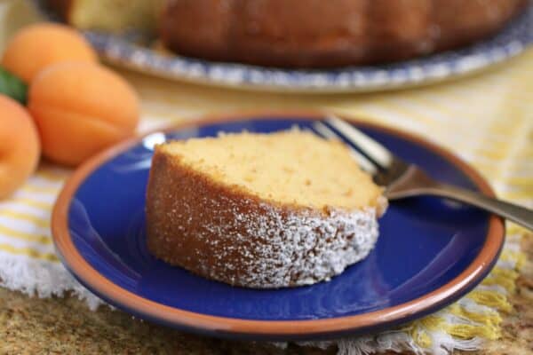 slice of apricot cake on plate