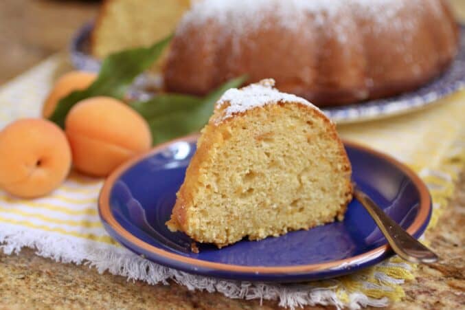 slice of apricot cake