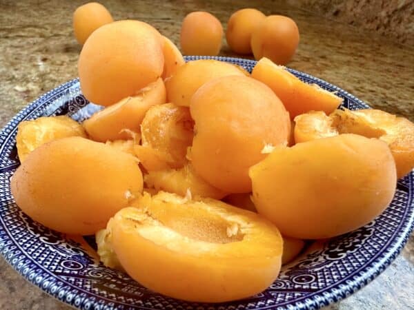 cut up apricots in bowl