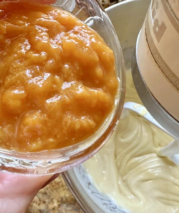 blended apricots in a food processor