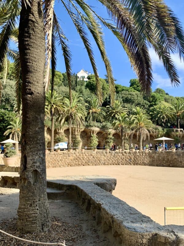 Palm trees in Park Guell
