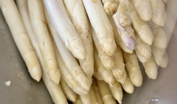 white asparagus