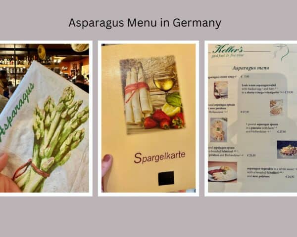 asparagus menu in Germany