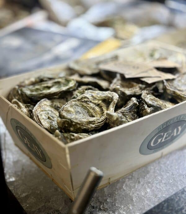 oysters in a box