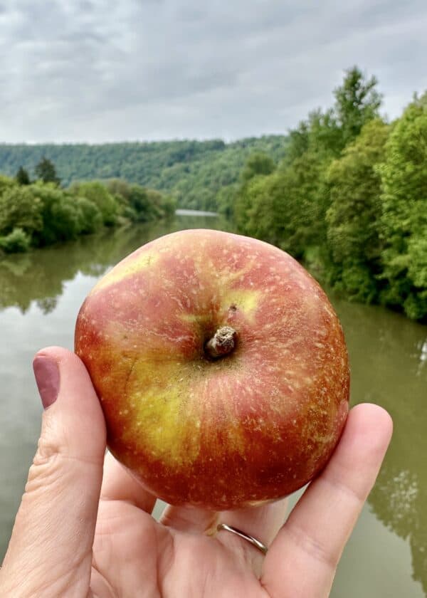 apple in Germany