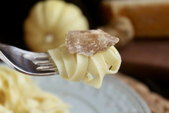 forkful of truffle pasta