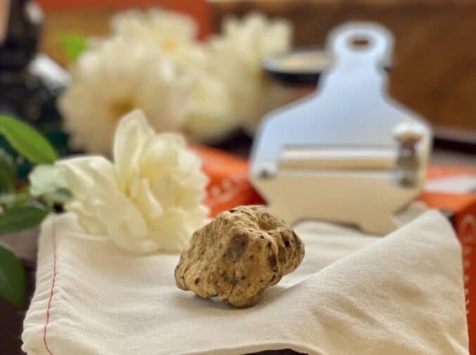white truffle with truffle slicer and roses