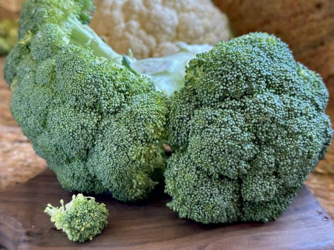 heads of broccoli