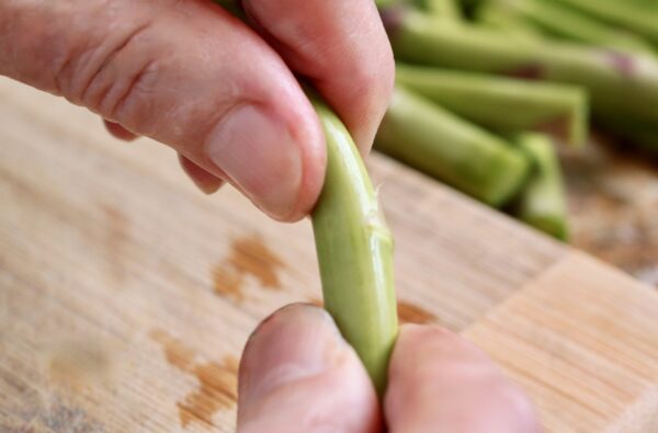 bending an asparagus spear