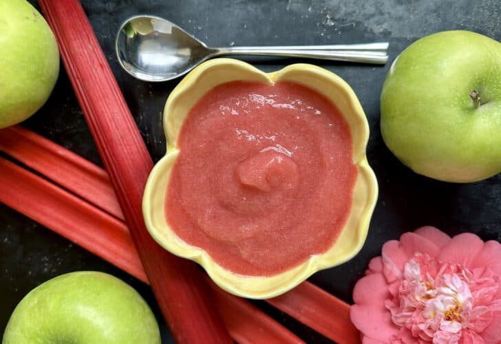 rhubarb applesauce overhead with spoon and fruit