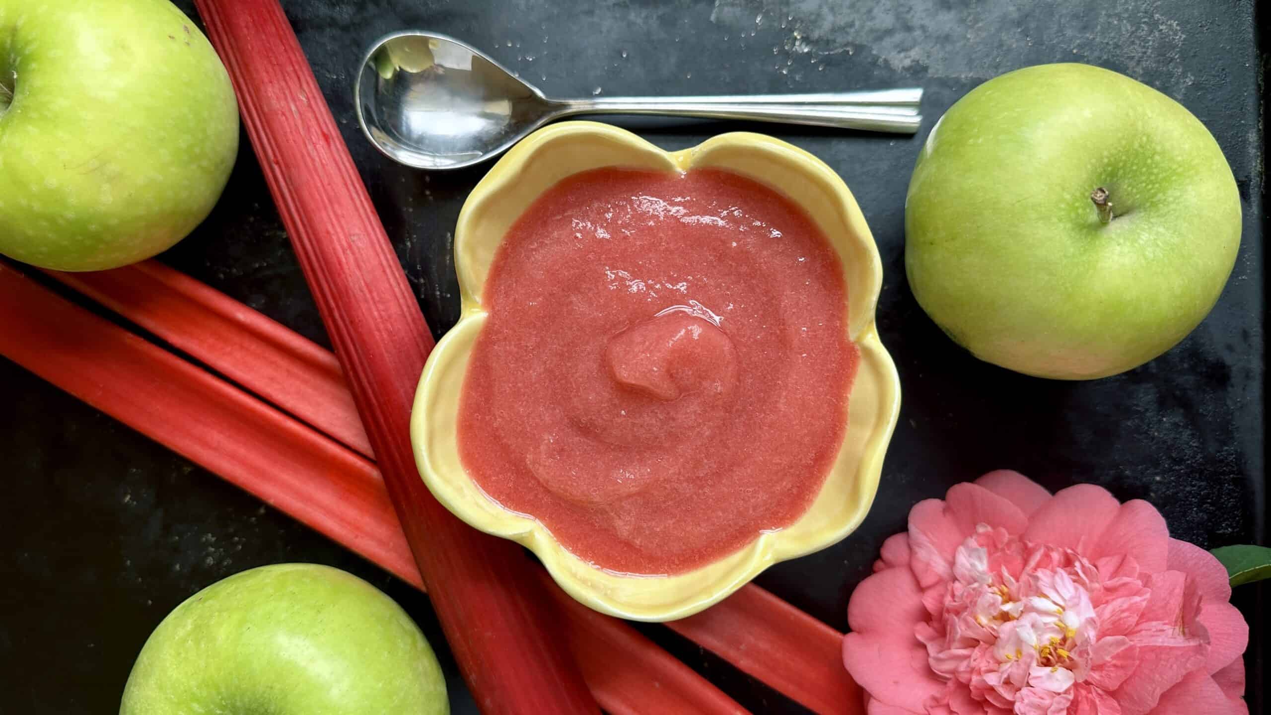 rhubarb applesauce overhead with spoon and fruit