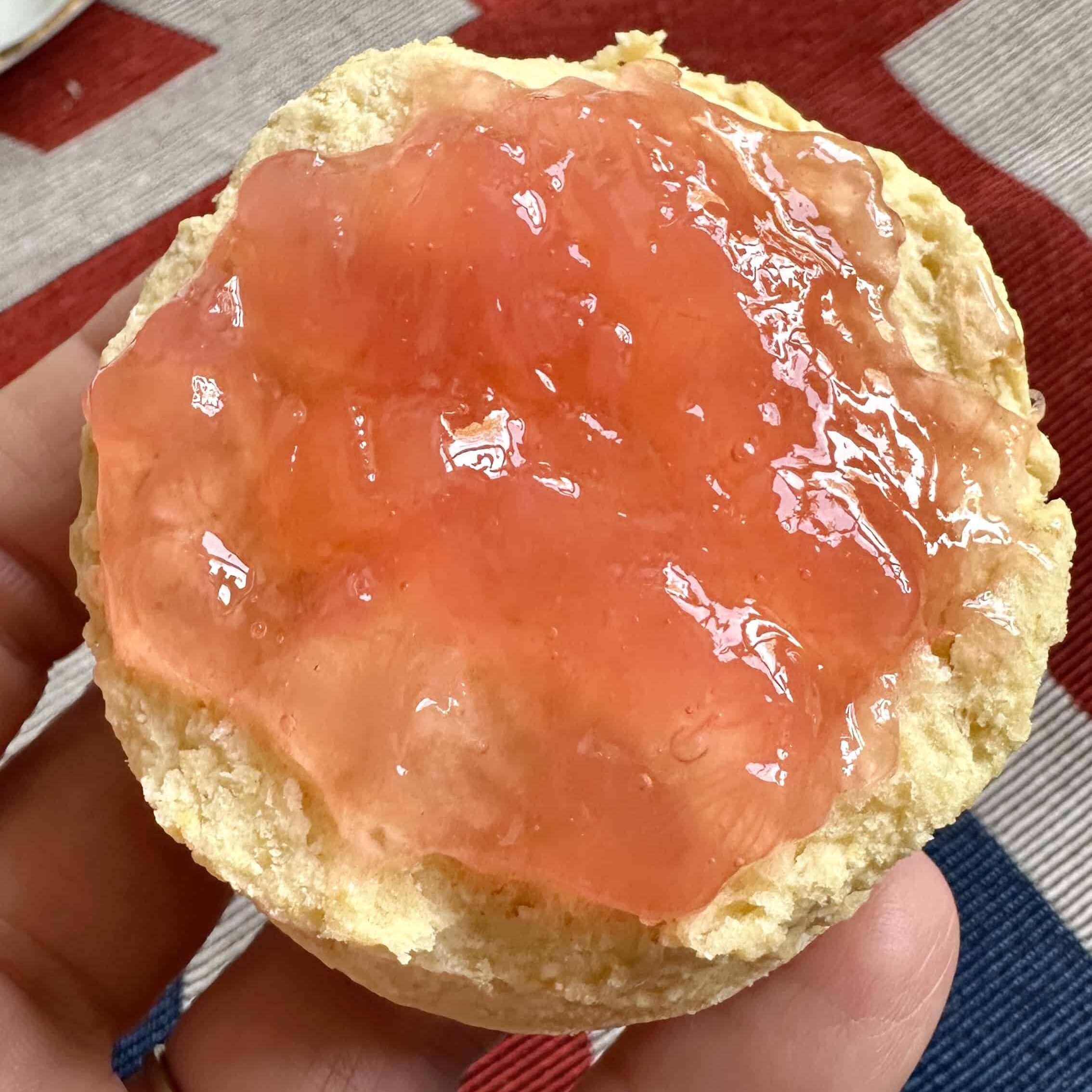 rhubarb jam on a scone