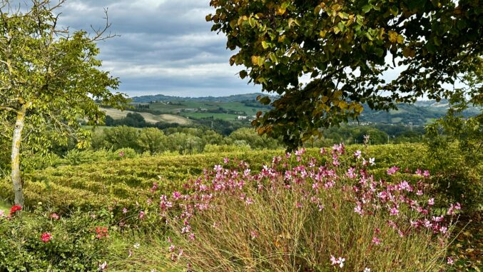 countryside in Le Marche