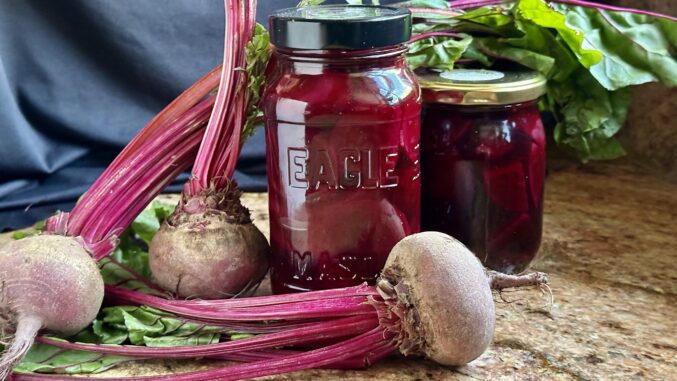 pickled beets and fresh beets