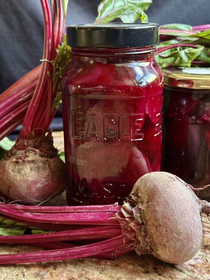 pickled beets and raw beets
