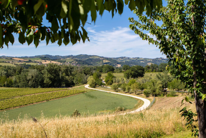 Urbino countryside