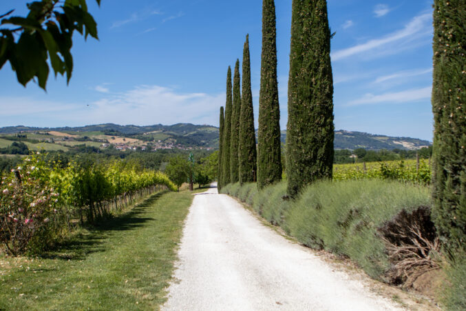road in Urbino Resort