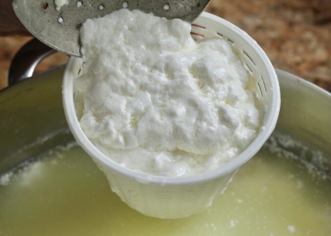 homemade ricotta