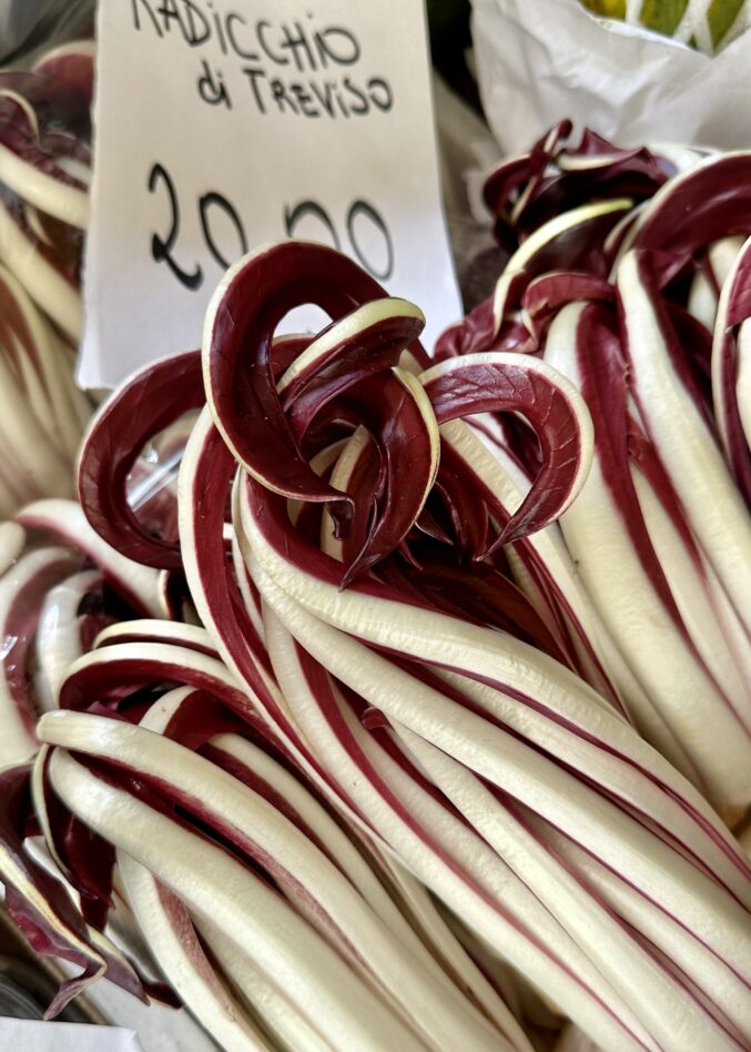 Treviso radicchio