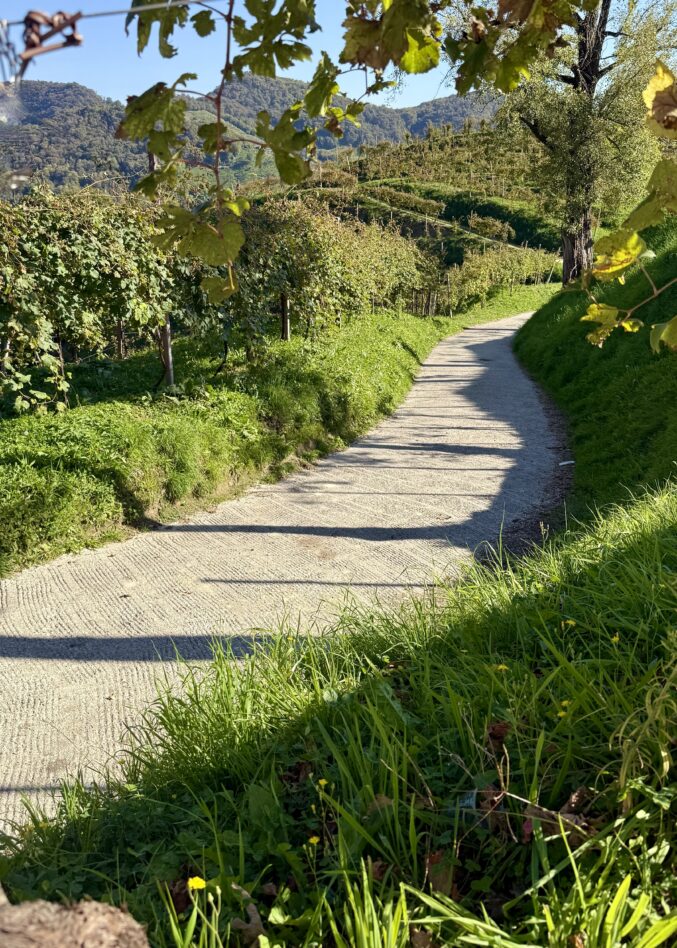 Lane in vineyards in Valdobbiadene