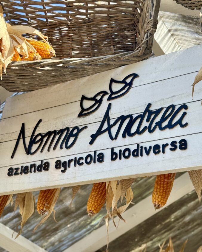nonno andrea sign on a road trip from Venice