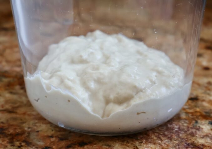 poolish sitting at room temperature