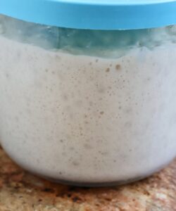 poolish in a jar