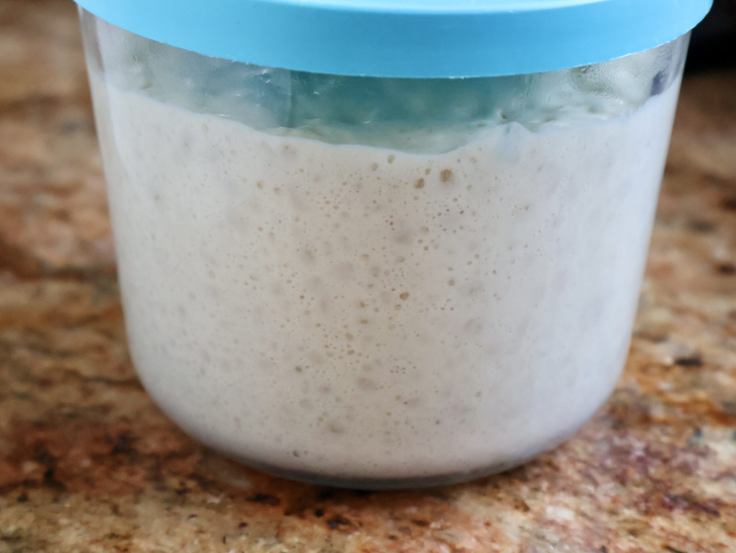 poolish in a jar