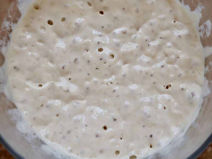 close up of poolish