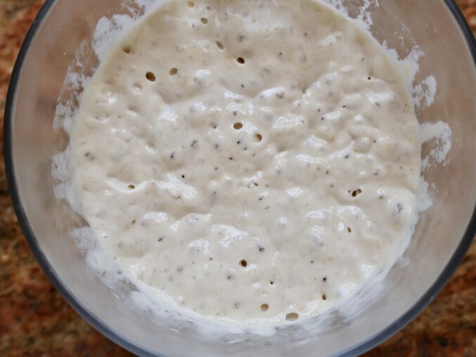 poolish in a bowl