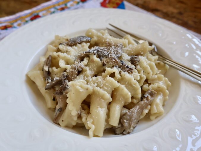 mushroom sauce with gigli